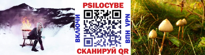 Галлюциногенные грибы Magic Shrooms  где можно купить наркотик  Приволжский 